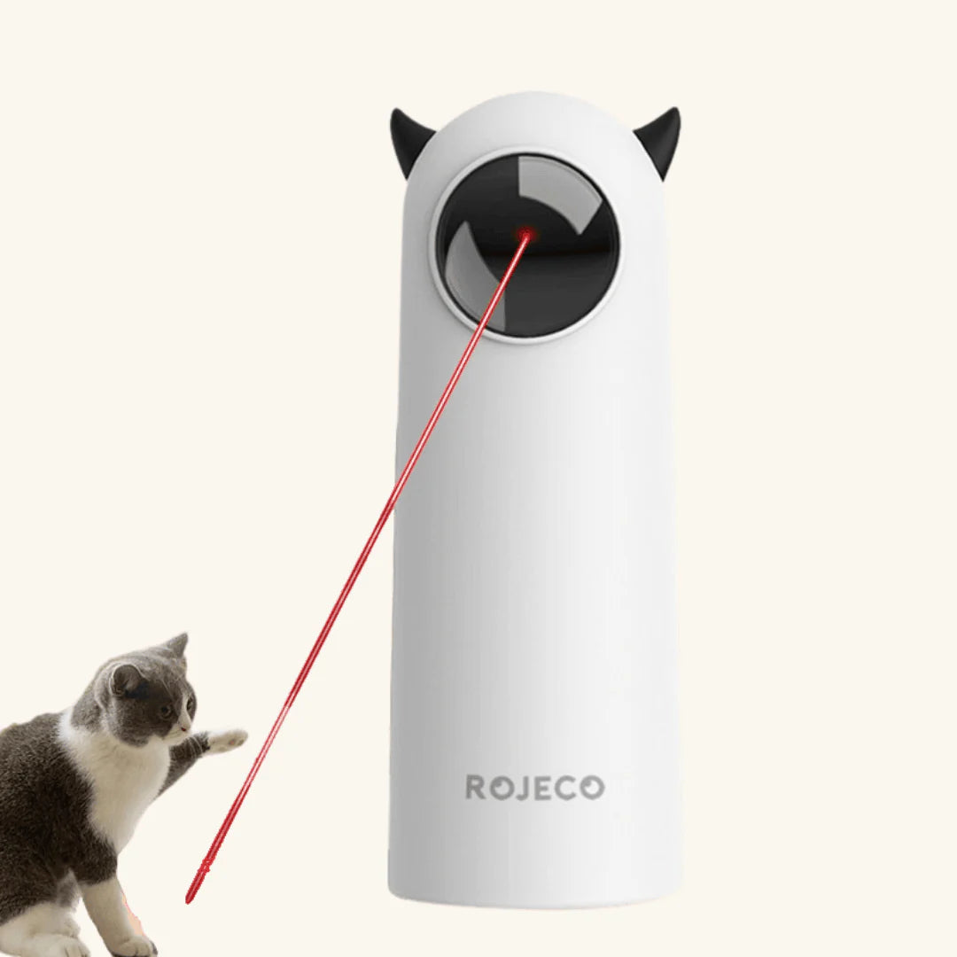 Automatic Cat Laser Pointer